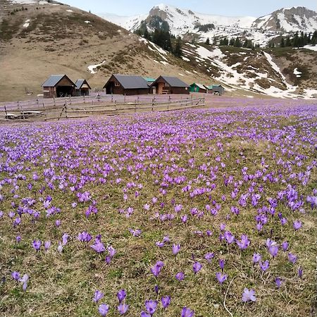 Villa Katun Siska Medna Dolina Berane Exterior foto
