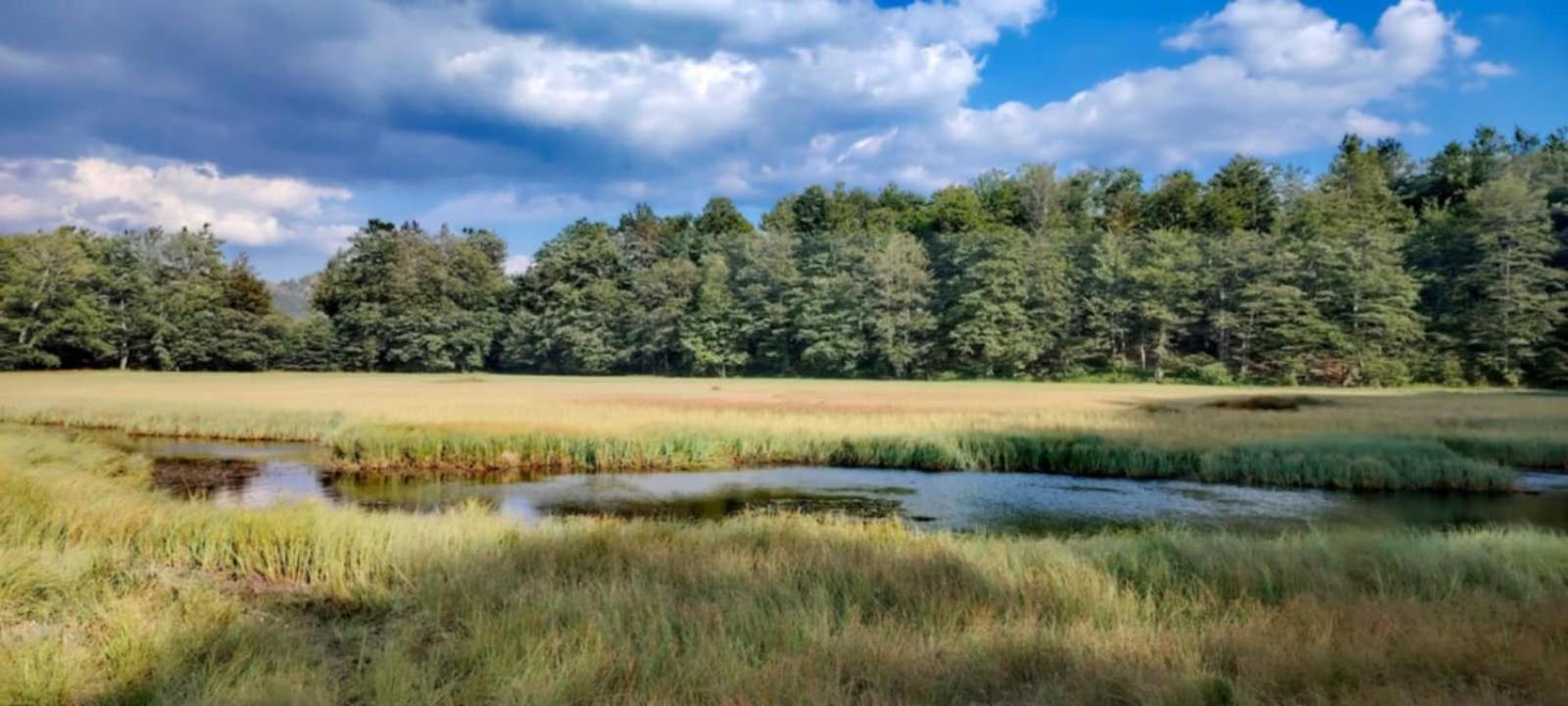 Villa Katun Siska Medna Dolina Berane Exterior foto